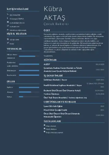Çocuk Bakıcısı CV Örnekleri cv indir